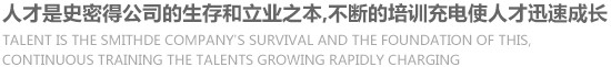 人才是史密得公司的生存和立业之本，不断的培训充电使人才迅速成长